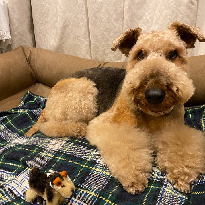 Df7e736f 0e99 4d3b bd0d 229897dac88f 1613217918596