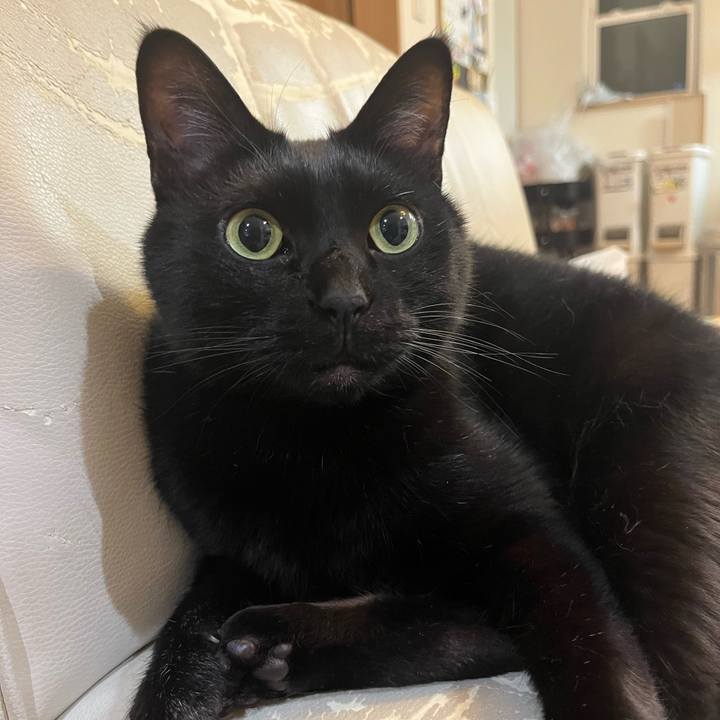 Df7ed760 972a 451c be89 1d5c10724d83 1713533054617