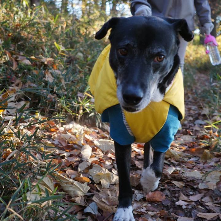 Df7f20ab 3a5b 4a9e b3ac 4e57c646fa26 1765064532223