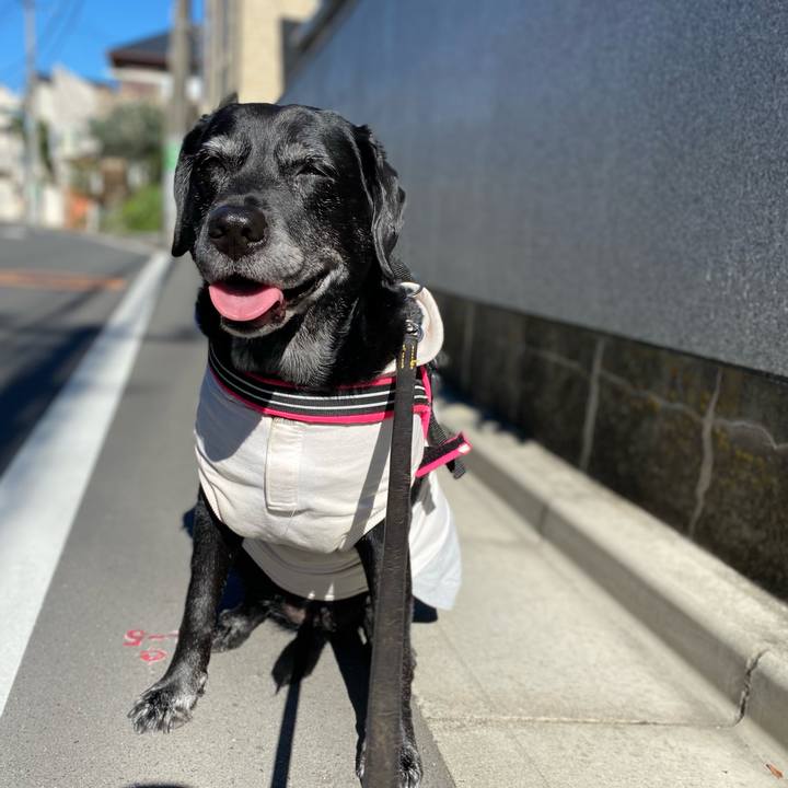 Df7f3ec0 e706 4473 a44d d92a33d1b11e 1636596167721