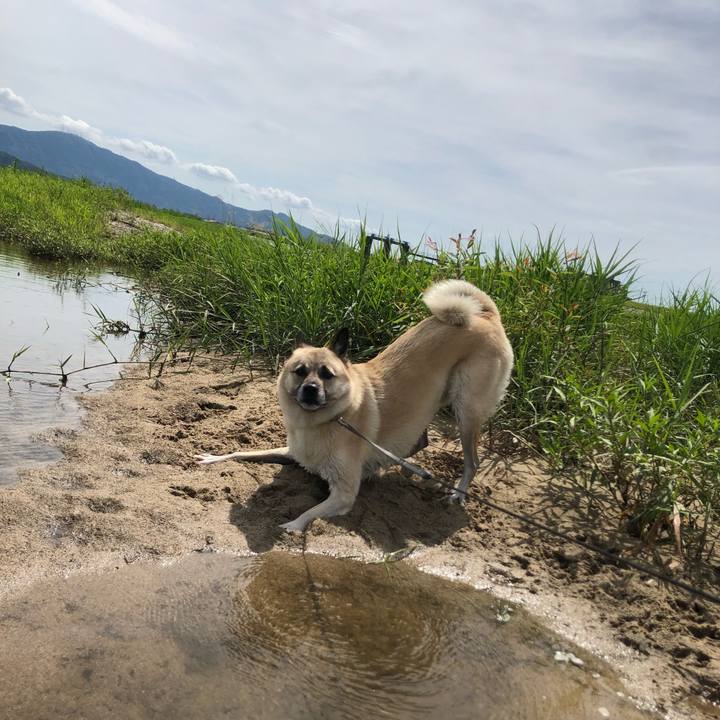 Df7f4bfa d1eb 437b 92bd bfb5aa23c097 1627202497446