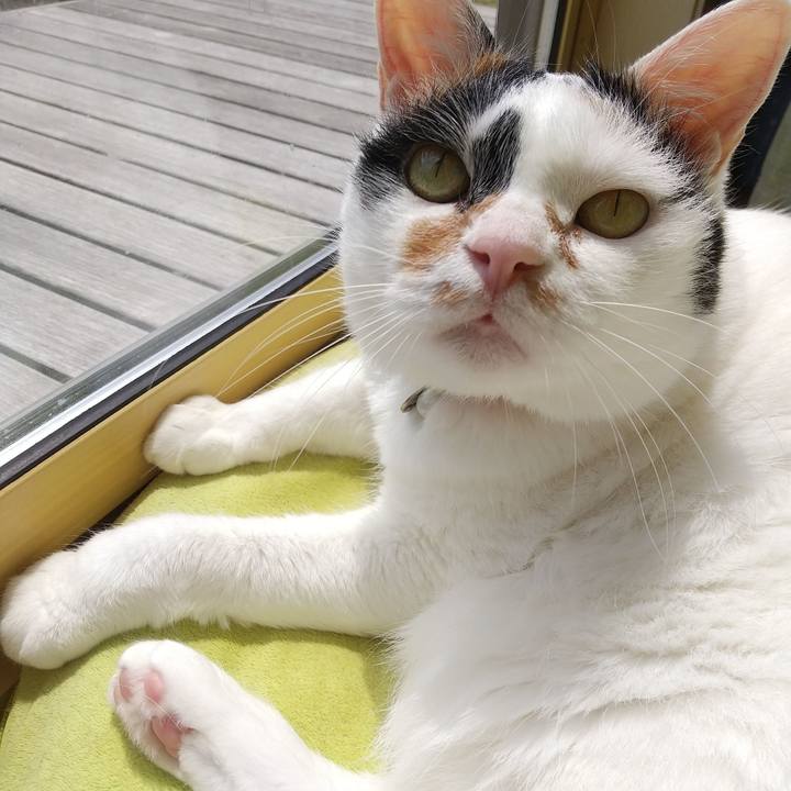 Df7f5cc9 32de 4861 a2b7 69bc8bea2670 1625025983649