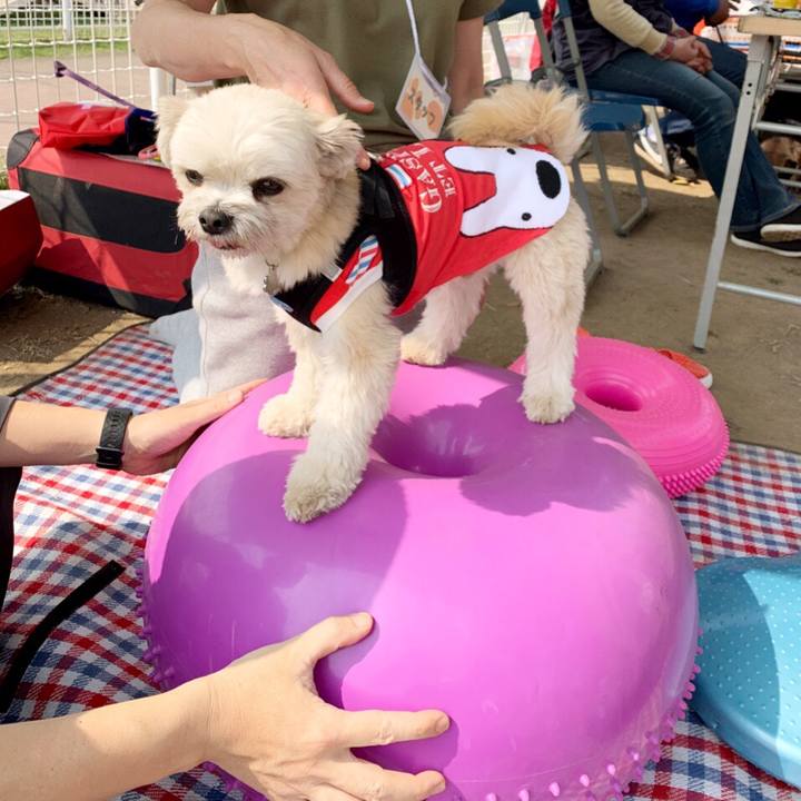 Df7f8e93 a57b 4df3 a2e6 393a66684623 1554625230696