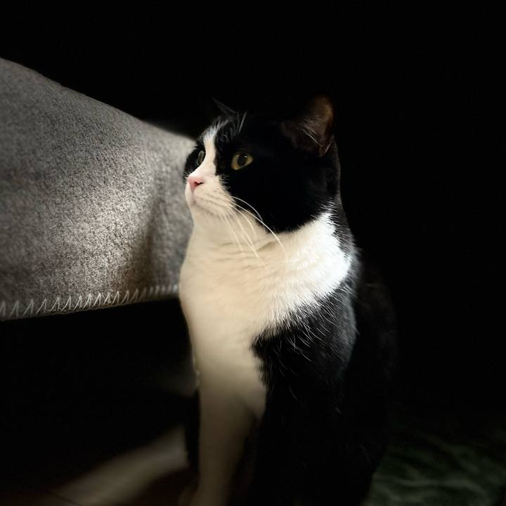 Df7f97ab 6885 4d96 82b1 e23229ef8f30 1670470853359