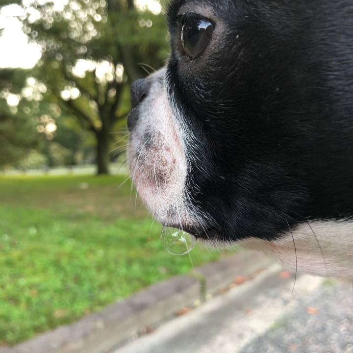 Df7fa66f 51fe 4aad ac2a 83db13d4cc2c 1538386009368