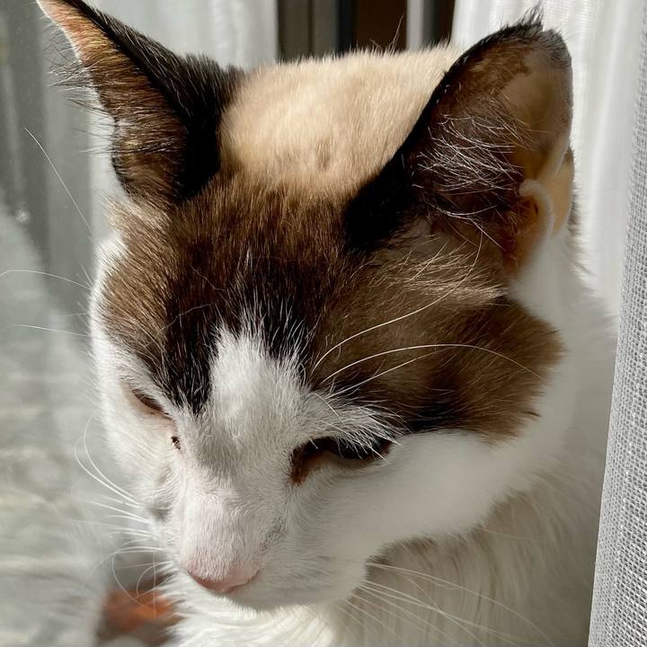 Df7fbd1e 6119 47db 9ab6 842dc05dfd91 1677813966155