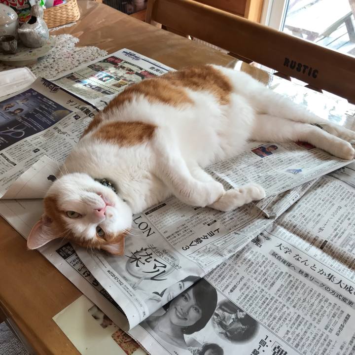 Df7fe11d f53e 48e6 a5c4 f1538f2d3204 1600645628033