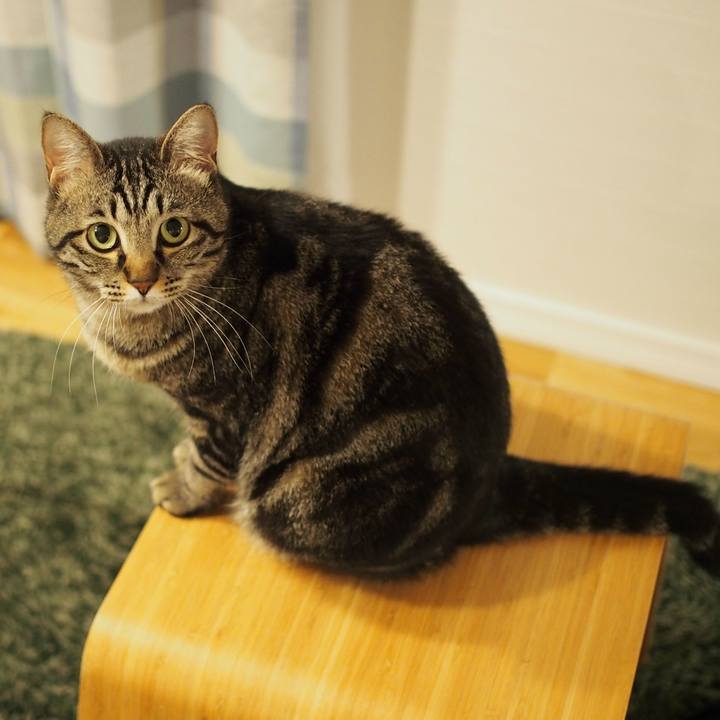 Df7fef3a deec 4dc1 a301 72067a4c8eae 1560584155365