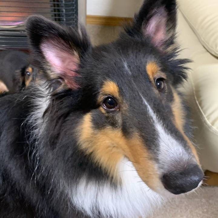 Df8008fe dae8 4bcb 927f 9a63b42e026d 1603027096676