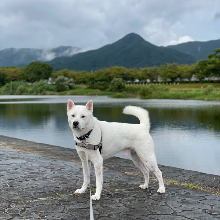 Df802974 adc3 4bd9 a0b9 597c999a1f06 1631830936432