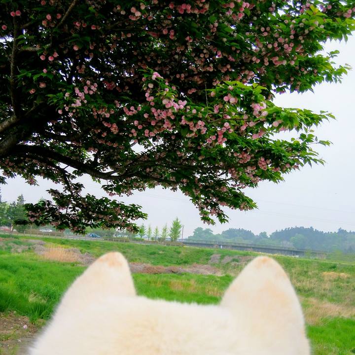 Df804fd9 5805 4151 bc93 12f3aefc0560 1525214709954