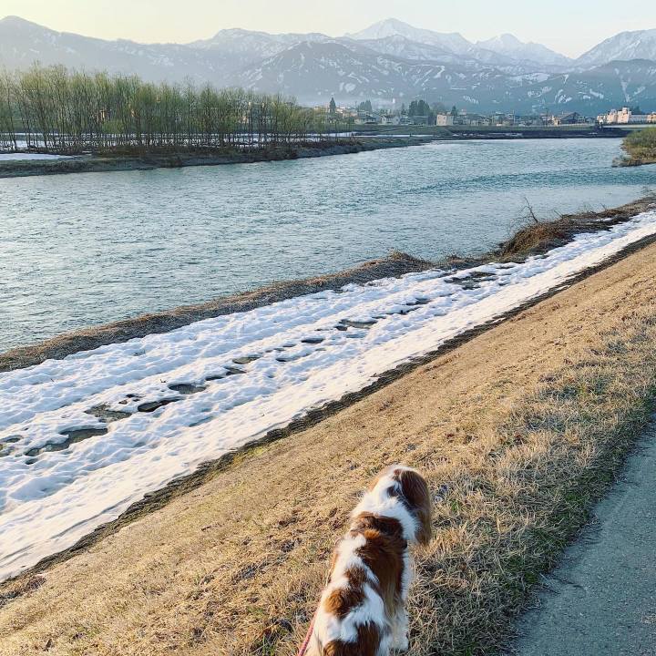 Df8056a6 6f13 4408 b784 87210801eae0 1618176308822