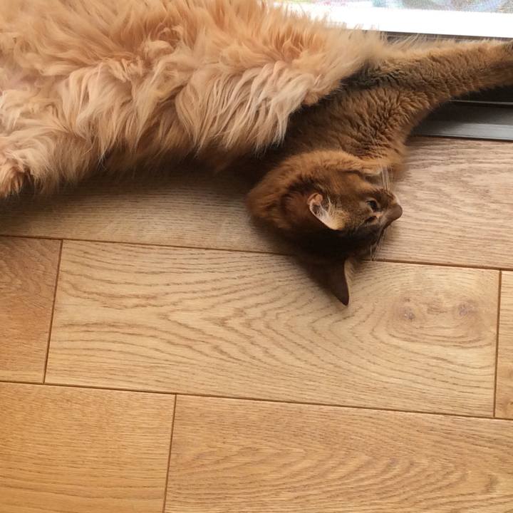 Df805f9e 7911 47b6 9ed2 e8c049d77896 1622446031904