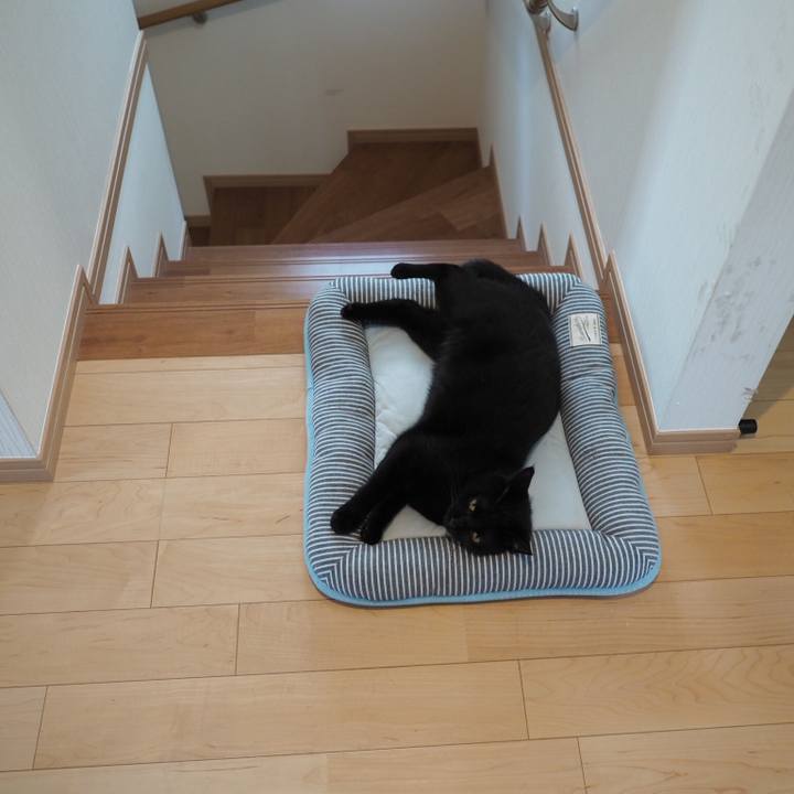 Df80673c 550b 4abc b2e8 74a514414699 1534807537095