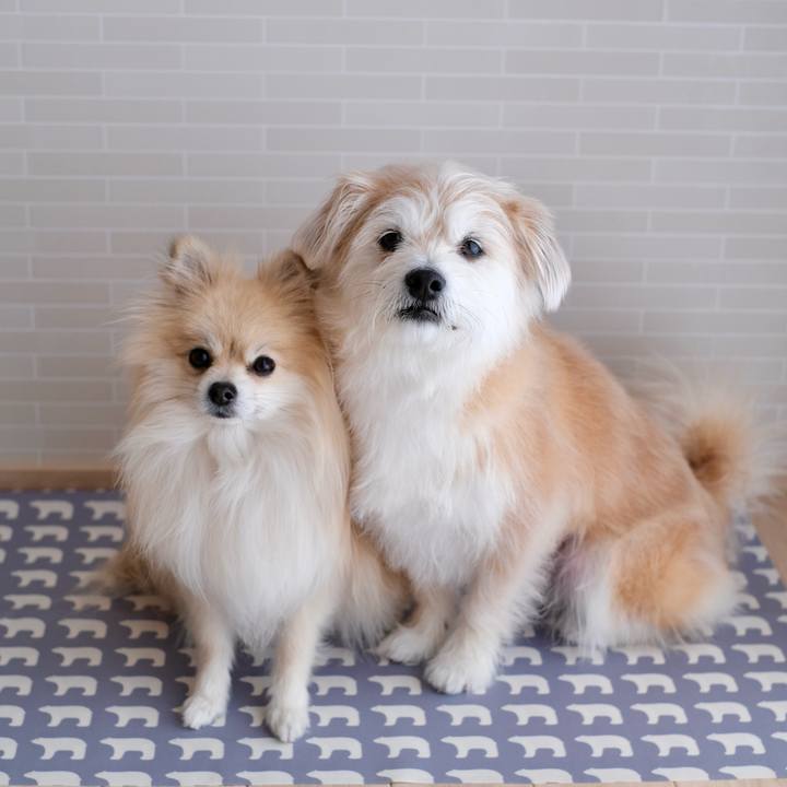 Df807cd6 abf5 4b56 9c9f 1cb2382f8fc9 1772749543367