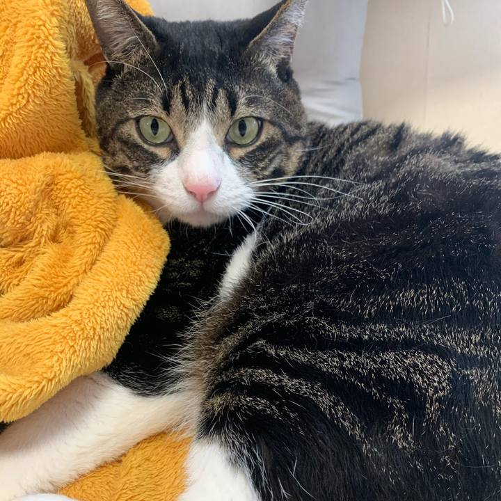 Df808734 e550 409f 9a0e e909022447b8 1585716603658