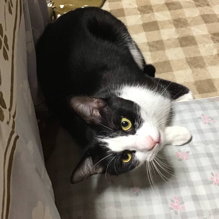 Df808ca6 64fa 4e8c aa45 b98fc65af69b 1699444578946