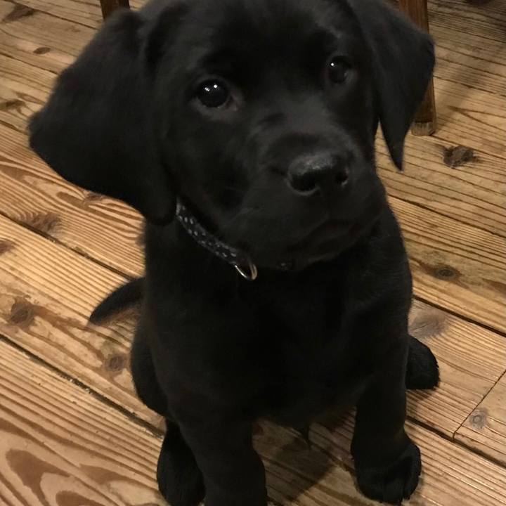 Df80a36f a095 485a 9f2e d685a9ac5865 1613004434563