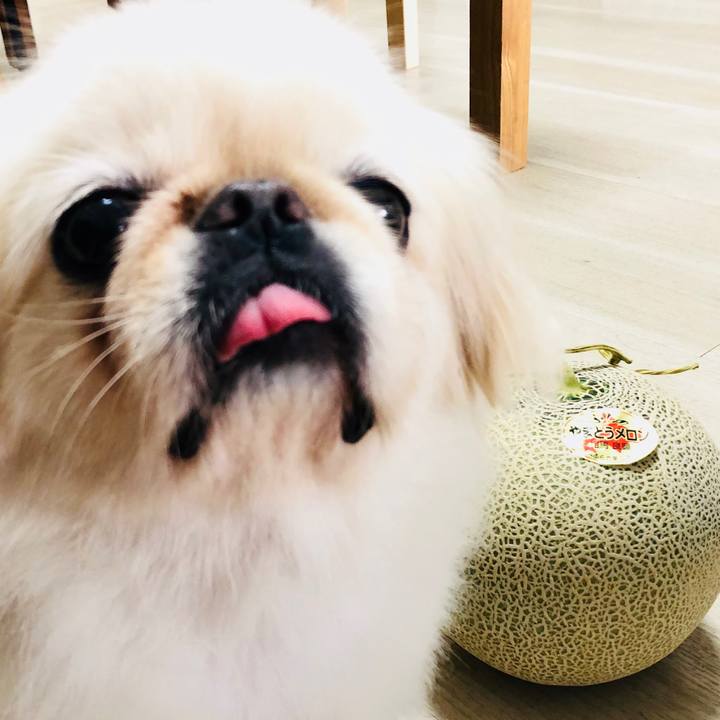 Df81196b 7802 44ee a01e 83a8efc693b4 1599104884061