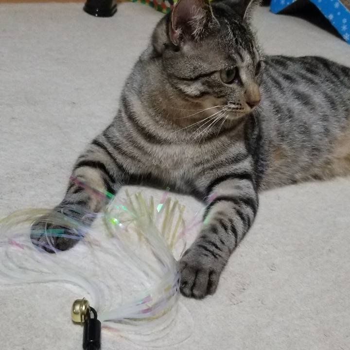 Df81197b 4fed 469b b7b3 23320ef3e630 1692406238928