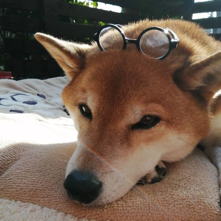 Df815454 335d 4b65 af03 5c38919505dc 1678439103650