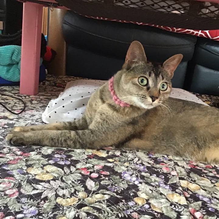 Df81ae9b 2bbe 4149 b511 081e59c5a18b 1591920898272