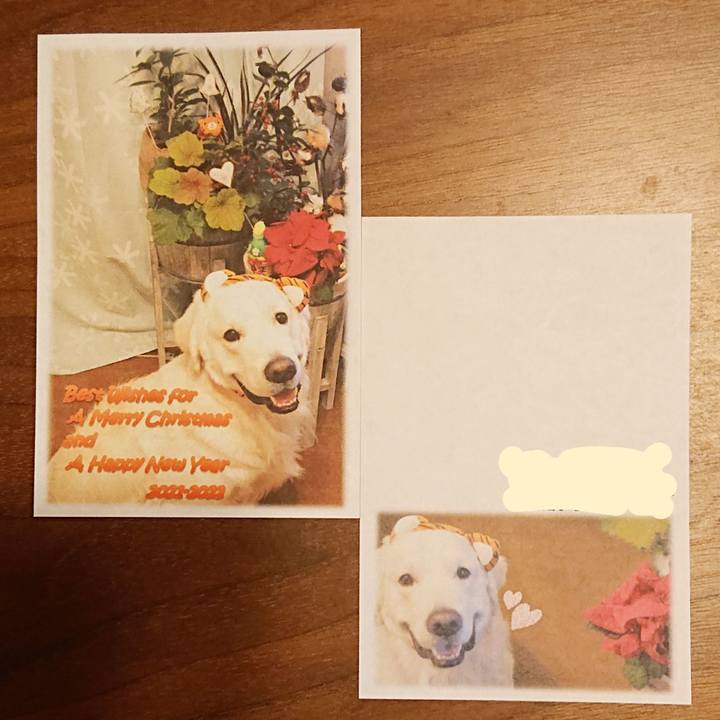 Df81ee27 478f 4e39 81e2 f9e4b63a80cc 1640005835712