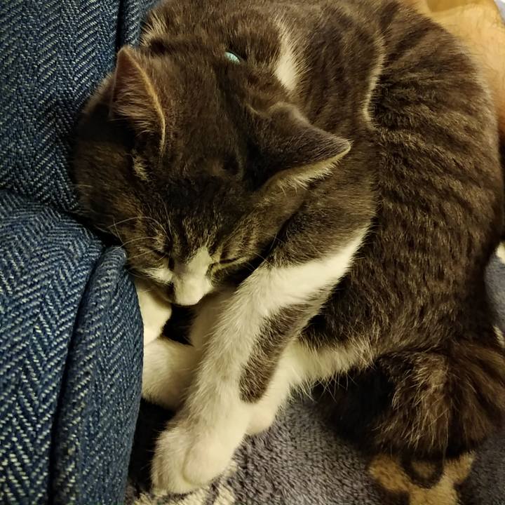 Df82115a 59c4 47c7 a42f d54f4d81c50f 1569936380196