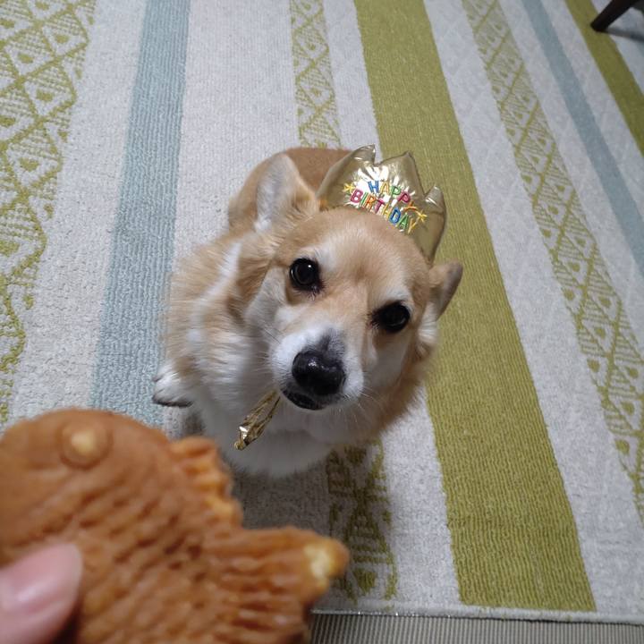 Df8243d0 dbeb 4bbd a498 0b500d11853d 1652704152648