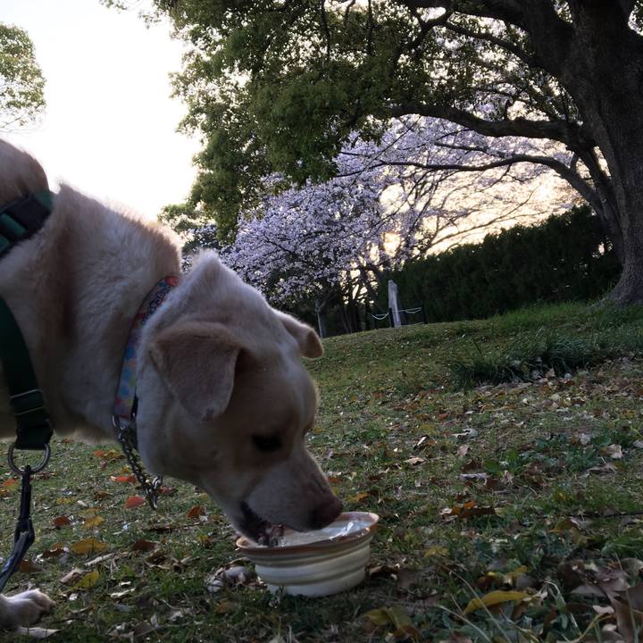 Df824b16 dbf0 4fe0 9c54 5dc6d5b65b75 1522844118260