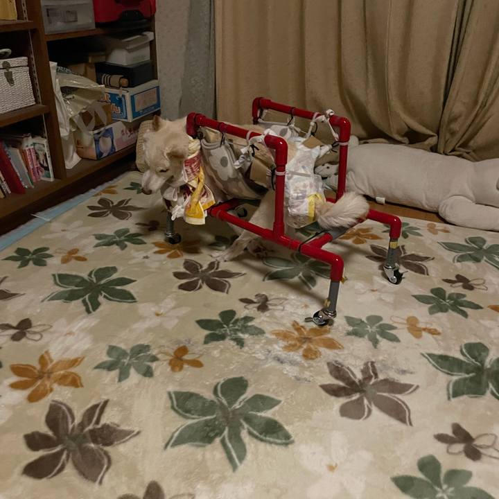 Df82b553 d3d3 41ce a6ac f1ae59e683aa 1675544543860