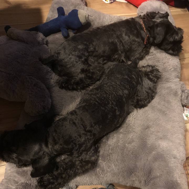 Df8303a1 591c 41f0 bee2 0f6c685ebaf0 1563788761525