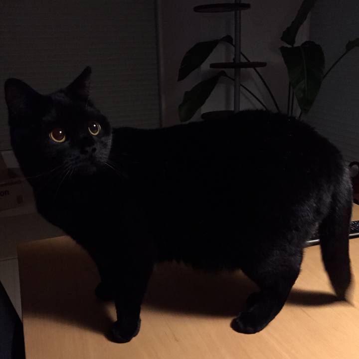 Df83ac11 5a66 4fee a598 71e506e7f3a6 1555078312276