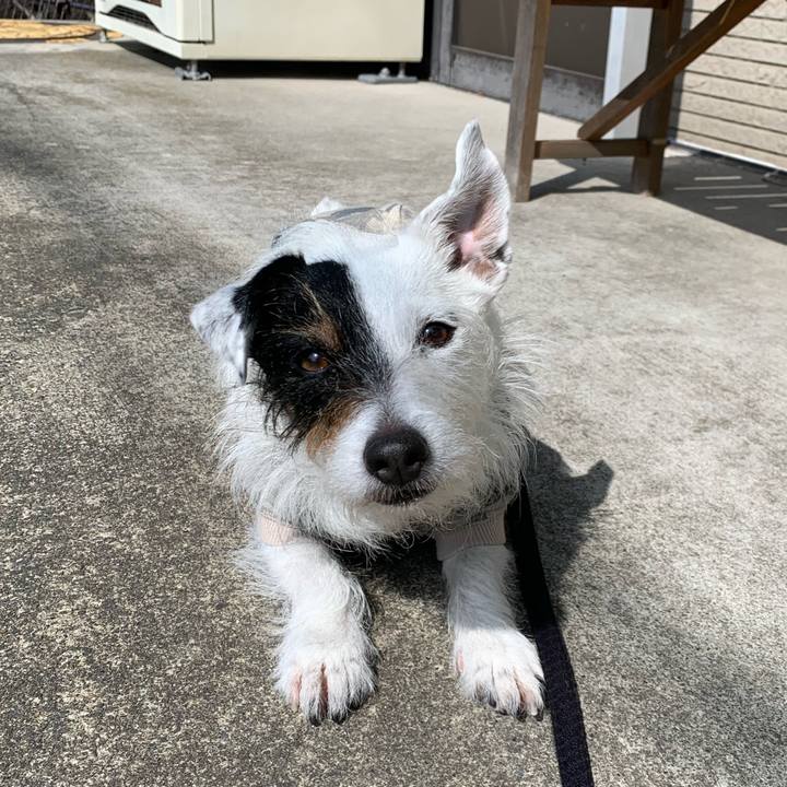 Df83ae66 d80f 4963 a4fc 45b3eddd5461 1649637527950