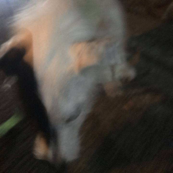 Df83b11a c295 40b4 abae 7fa81c7da8d2 1538576346422