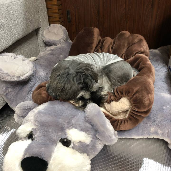 Df83be46 30dc 4dce 9db5 c8cb95efb3f6 1575381681712