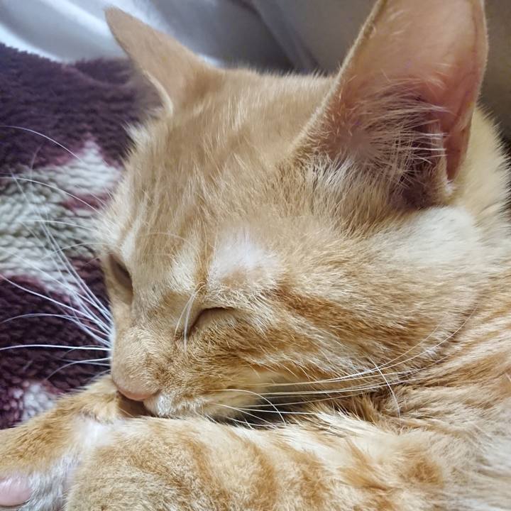 Df83c48f 97b0 4ad3 9087 d8a5edea9e27 1636721167373