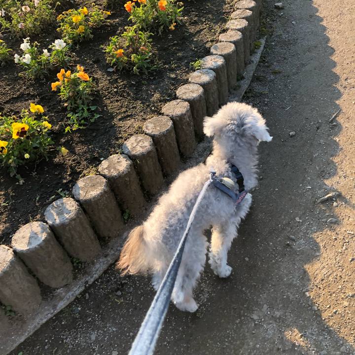 Df83c656 1ce0 4381 85ba 9ca6af5bb5af 1651625478473