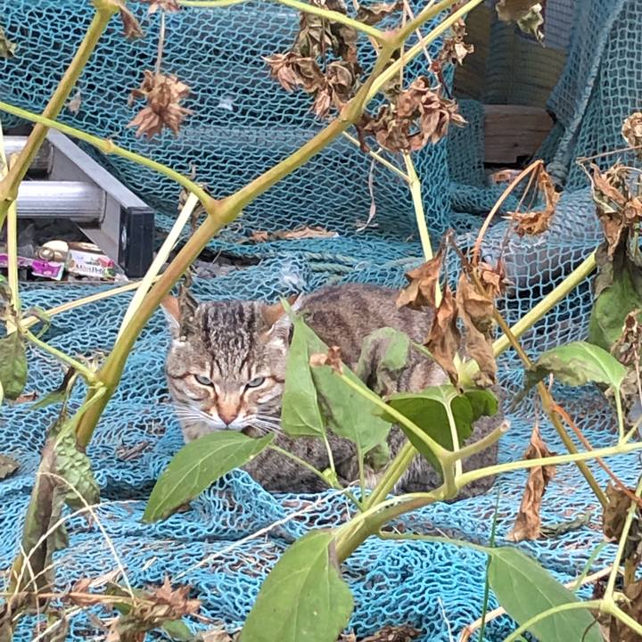 Df83cde1 f309 4116 9efb d4fe34f6ff24 1614438887992