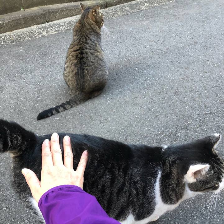 Df83d5ed c5a2 4191 8729 2cdd6335a7a0 1540078069505