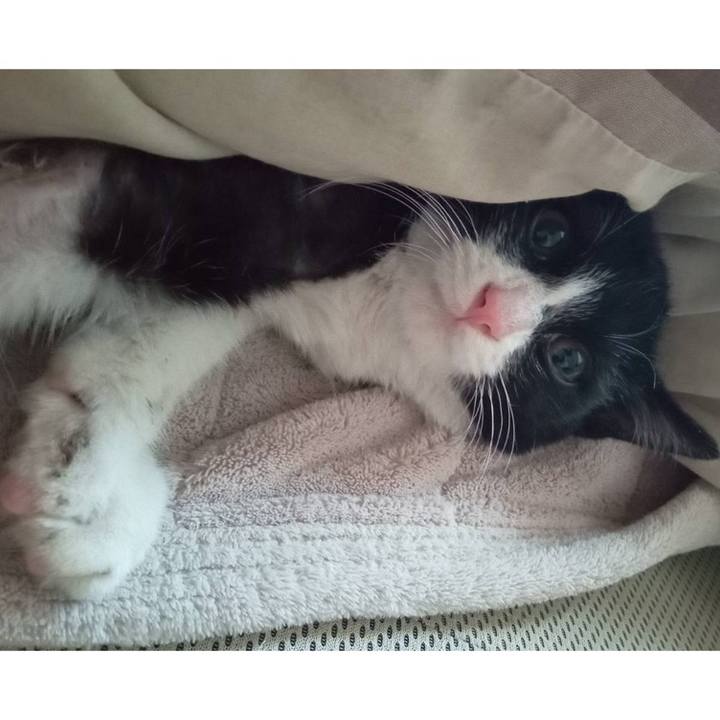 Df83fa61 305a 47bf a94e 4bbe18684349 1702634100968