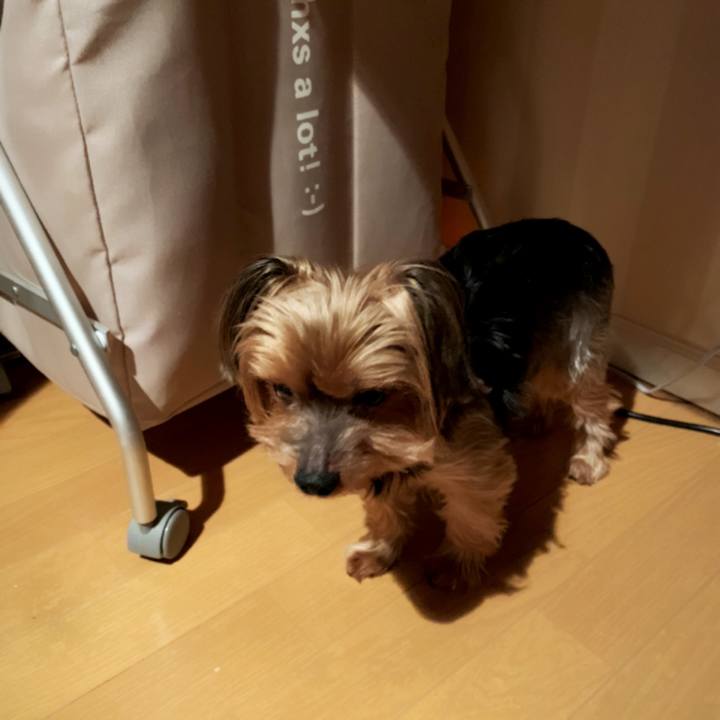 Df841364 fee5 4709 a8f1 aade28cc20f6 1588804476207