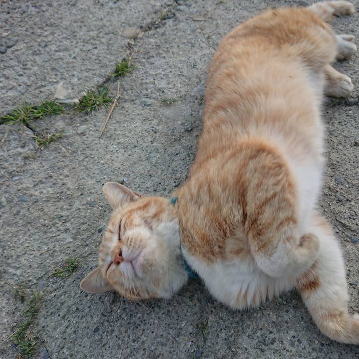 Df8431ce f2cf 40a7 8885 64bd96e33987 1557307598282