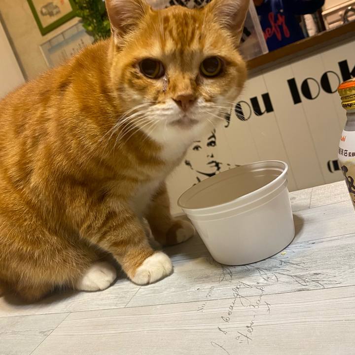 Df844875 d4d6 4fc3 bd87 282decad1401 1637338562222