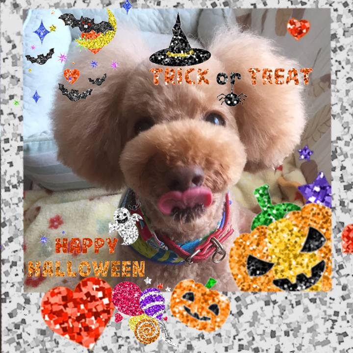 Df846f0b 341f 4aad bd2c c097ddf1a247 1540977549600