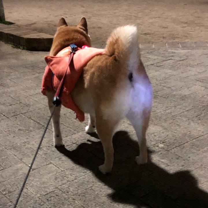 Df847364 74f1 4b7e 8d79 5ca850b3782b 1582635257967