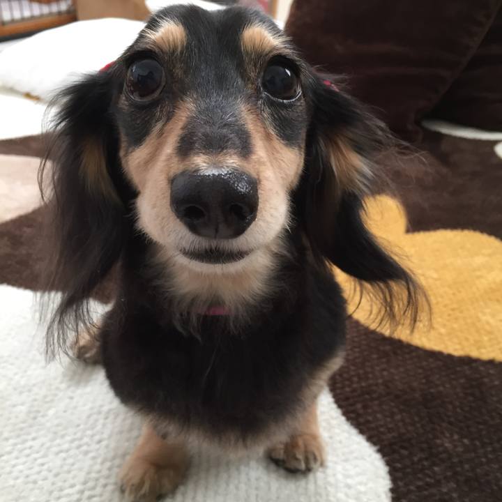 Df847817 d0d3 4037 8b1e ddffad54bccb 1545026214868