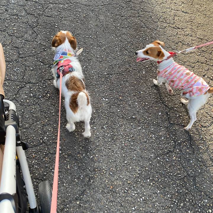 Df84ea8a 0dac 4e6b a57d b0be8e9c0d2c 1722211114243