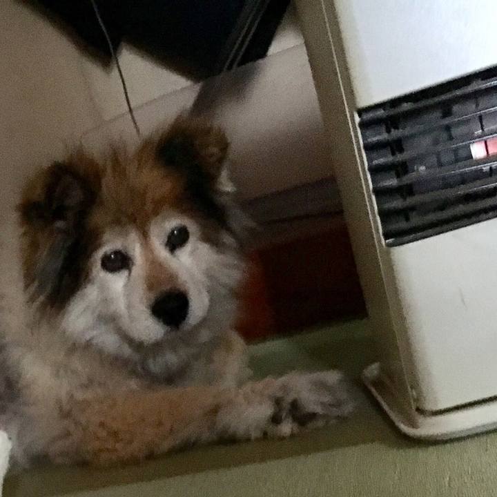 Df84f948 b20c 417d 871b f1a7d23776a2 1611553589968