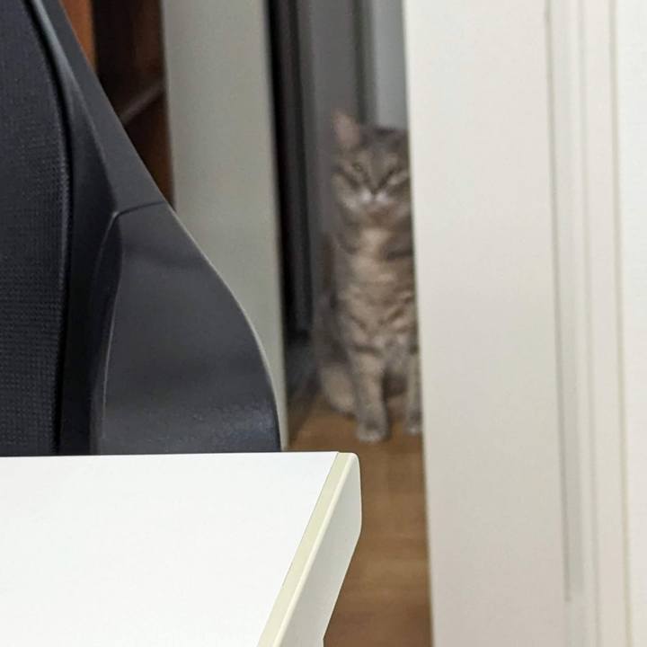 Df850b82 6781 48a6 ae7b c9e67b340583 1695874723795